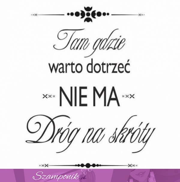 Tam, gdzie warto dotrzeć...