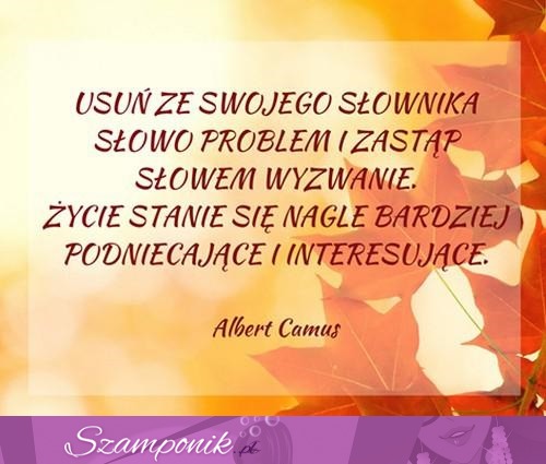 Usuń ze swojego słownika słowo....