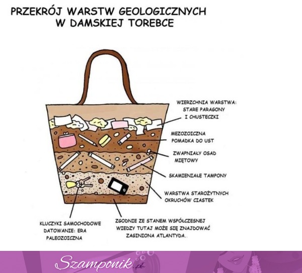 Przekrój WARSTW geologicznych w DAMSKIEJ TOREBCE- haha MOCNE! ;d