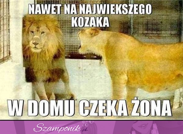 Nie ma co się śmiać