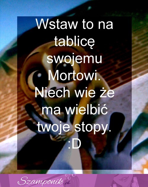 Wielb moje stopy ;D