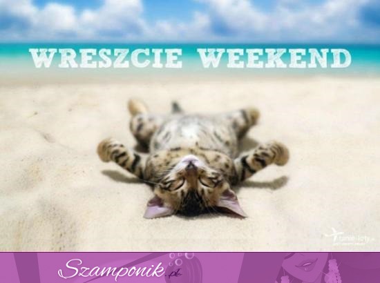 Weekend!