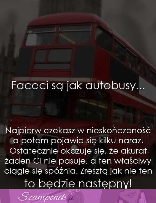 Faceci są jak autobusy...