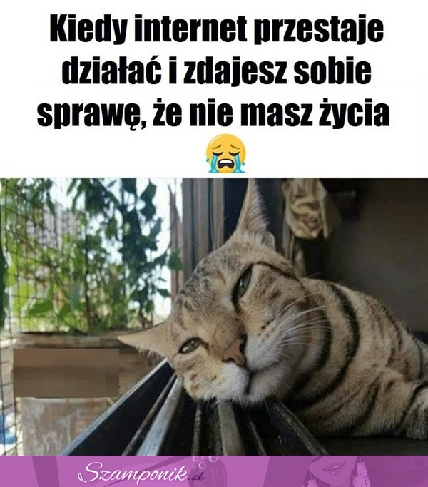 Co ja teraz zrobię