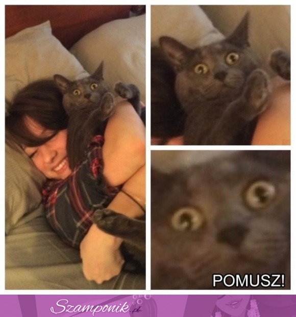 POMUSZ!