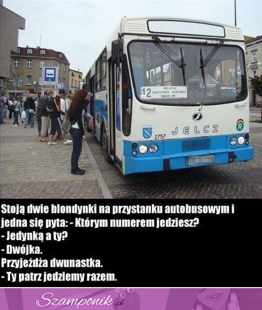 Kawał tygodnia Stoją dwie blondyki na przystanku...