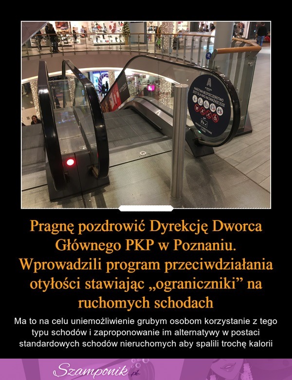 Wprowadzili program przeciwdziałania otyłości stawiając "ograniczniki" na ruchomych schodach