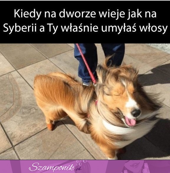 I dlatego jesteś zła przez reszte dnia ;)