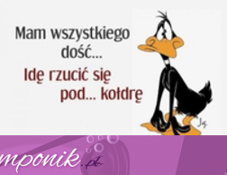 Ciężki dzień... jak każdy ;)