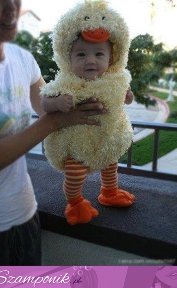 Mały słodziutki kurczaczek ;)