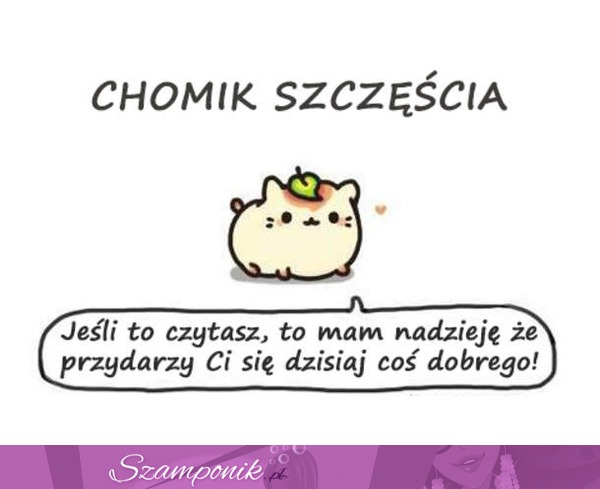 Chomik szcześcia ;)