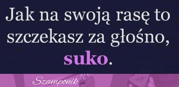 Jak na swoją rasę