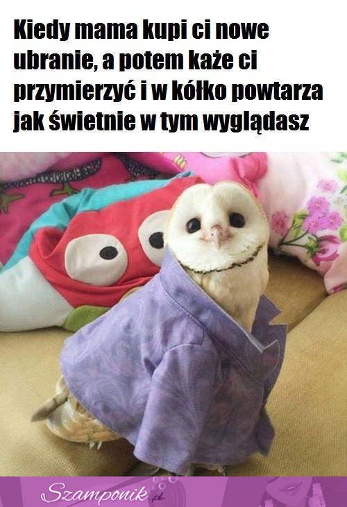 Już mam dość.