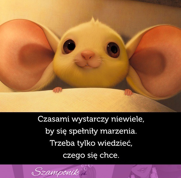 Czasami wystarczy niewiele.