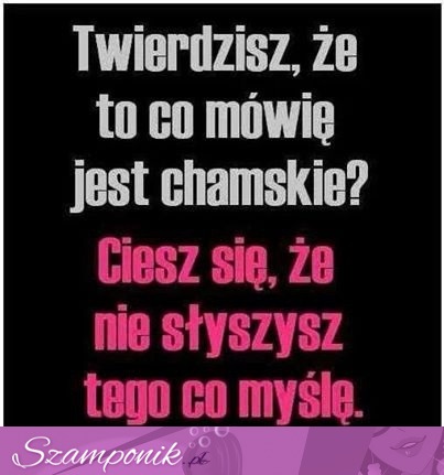 To jeszcze nie było chamskie...