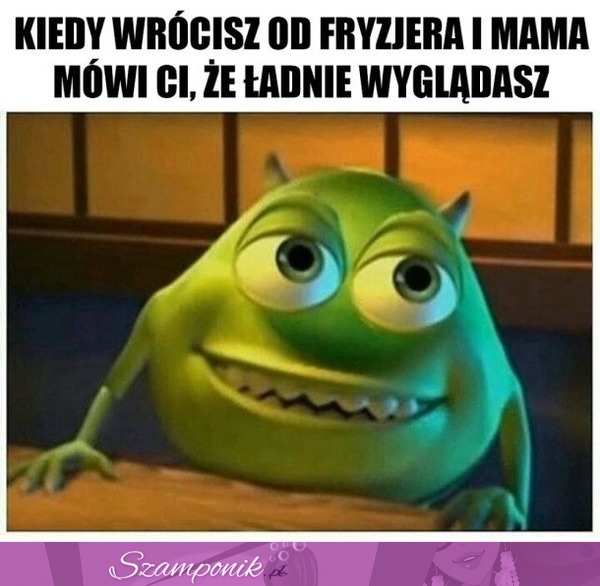 Kiedy wrócisz od fryzjera