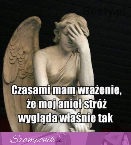 Mój anioł stróż