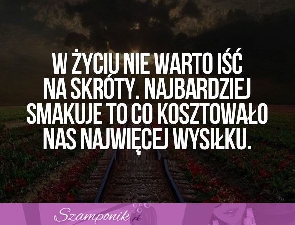 W życiu nie warto iść na skróty.