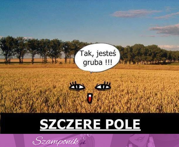 Szczere pole