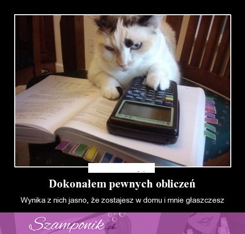 Matematyk ;D