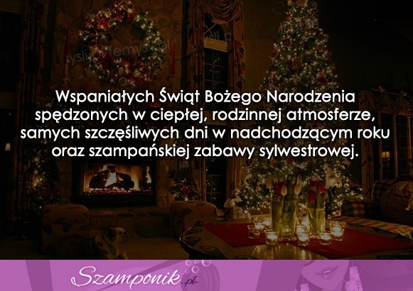 Wspaniałych Świąt Bożego Narodzenia!