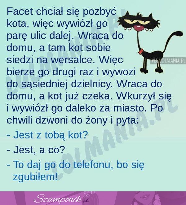 Facet chciał się pozbyć kota... To nie takie proste :P