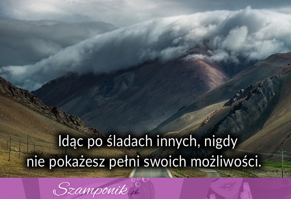 Idąc po śladach innych nigdy ...