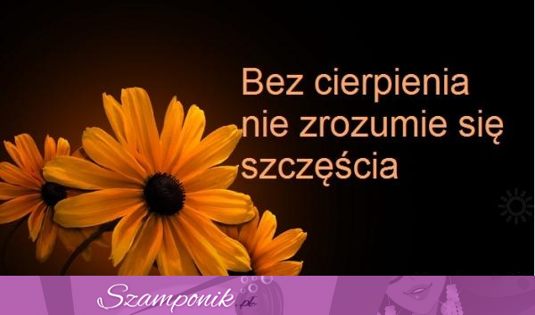 Bez cierpienia...