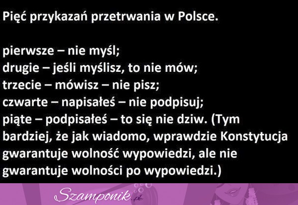 Pięć przykazań przetrwania w Polsce...