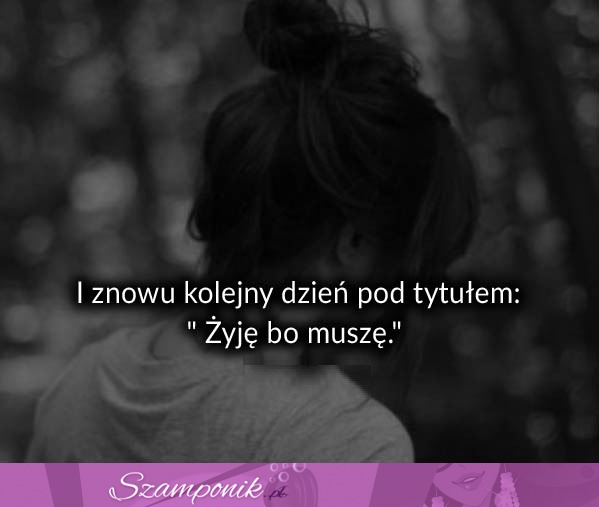 I znowu kolejny dzień pod tytułem...