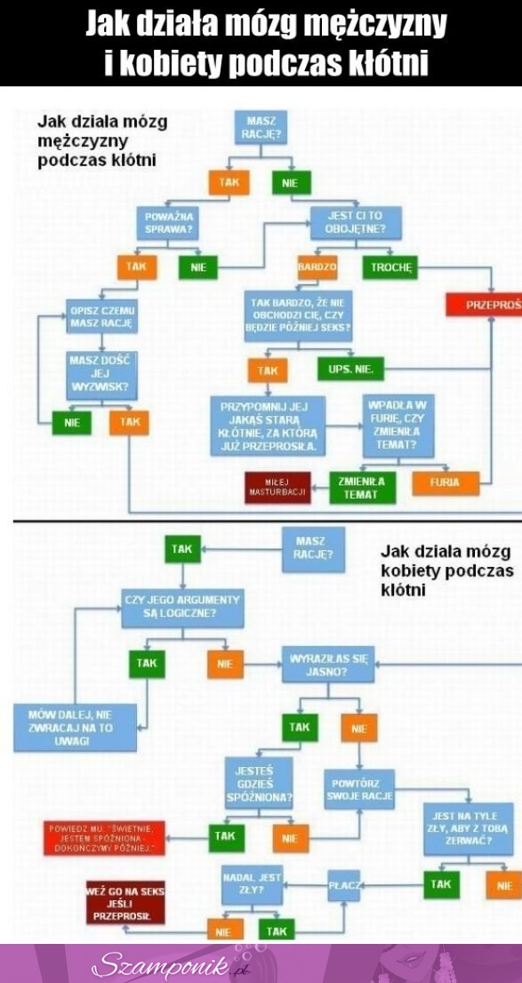 Jak działa MÓZG FACETA i KOBIETY podczas KŁÓTNI! Musisz to zobaczyć haha