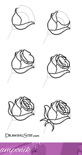 Oto jak bardzo łatwo narysować różę :)