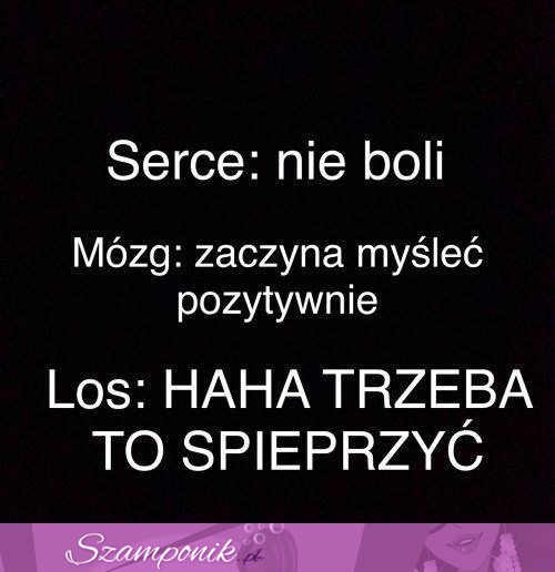 Serce, mózg,los