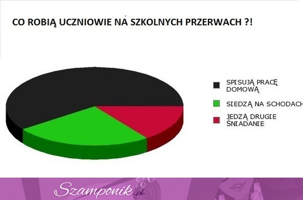 Co robią uczniowie podczas przerwy w szkole? Zobacz!