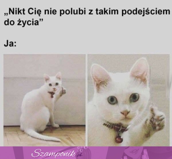 Nikt Cię nie polubi