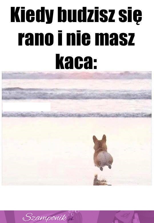 Kiedy budzisz się rano...