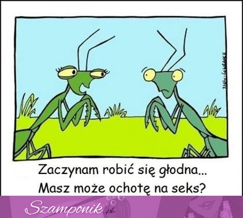 Głodna...