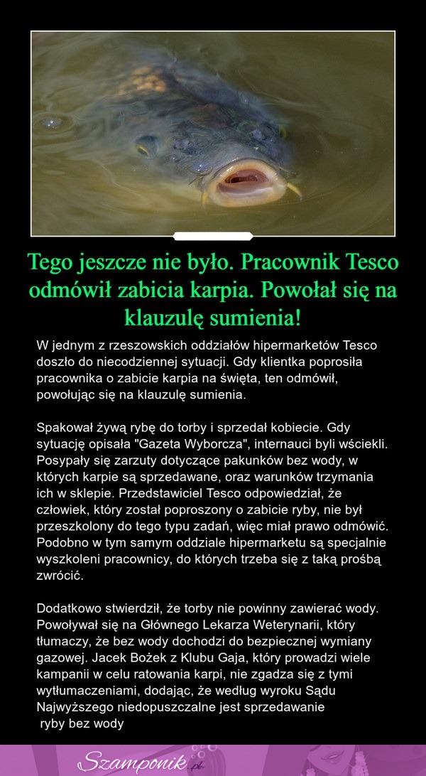 Pracownik Tesco odmówił zabicia karpia. Powołał się na klauzulę sumienia