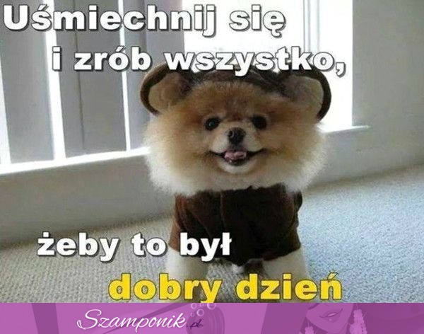 Dobry dzień dla każdego