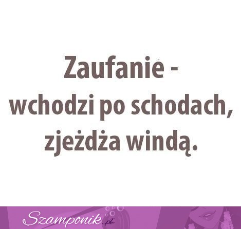 Zaufanie