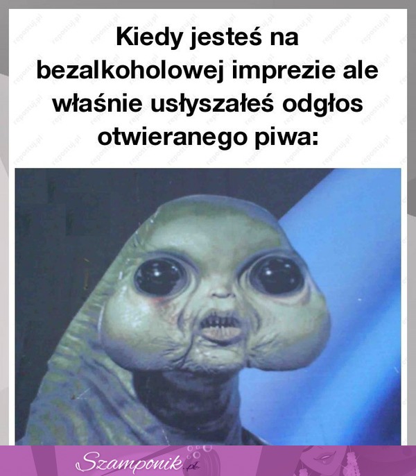 Kiedy jesteś na bezalkoholowej imprezie