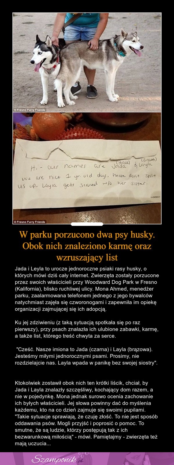 W parku porzucono dwa psy husky. Obok nich znaleziono karmę oraz wzruszający list