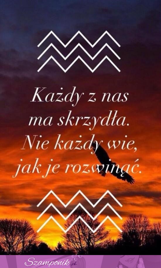 Każdy z nas ma skrzydła