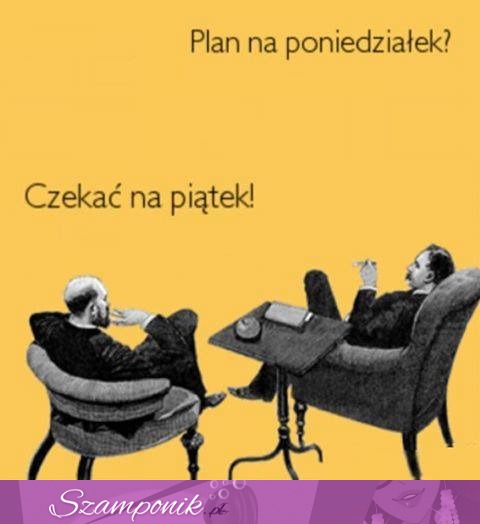 Plan na poniedziałek