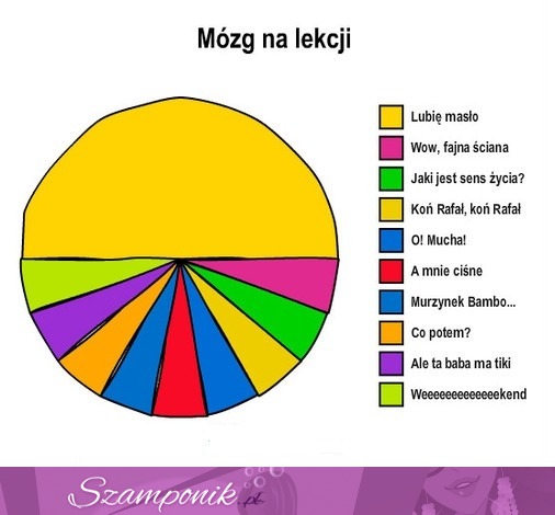 Mózg ucznia na lekcjach... Też też tak masz? :D