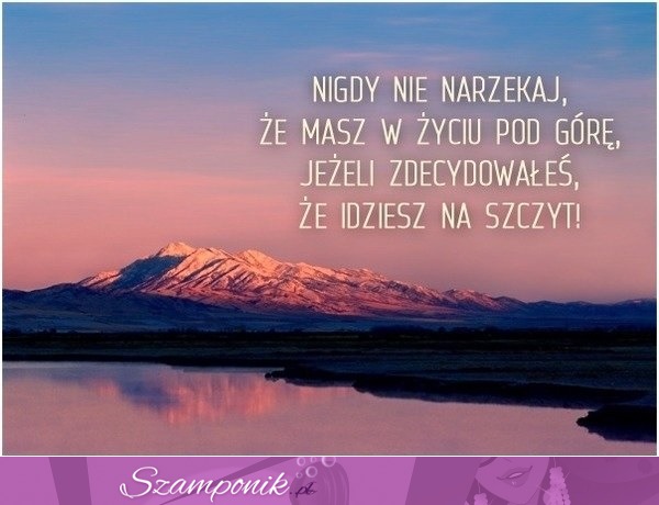 Nigdy nie narzekaj!