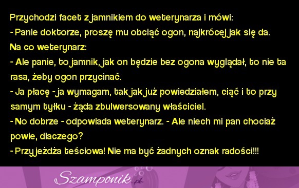 Kawał dnia: "Przychodzi facet z jamnikiem do weterynarza i mówi..." xD