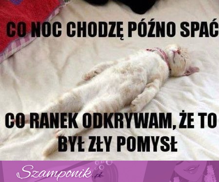 Co noc chodzę późno sać