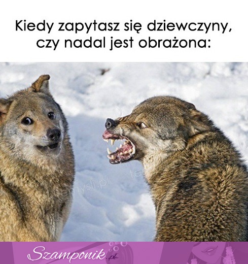 Domyśl się!