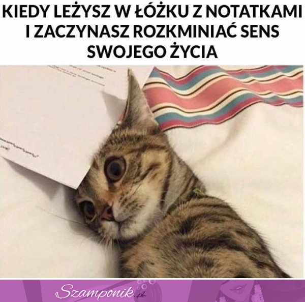 Kiedy leżysz w łóżku...